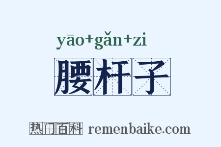 腰杆子是什么意思的图片